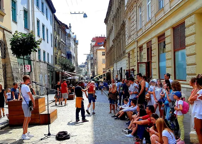 Style In Old Lejlighed Lviv